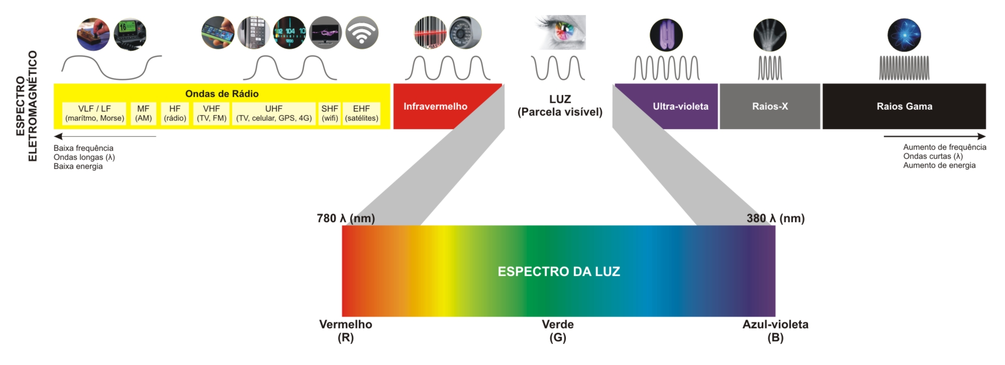 Espectro eletromagnético - As imagens podem ser geradas a partir de diferentes fontes eletromagnéticas, incluindo raios gama, raio x, ultravioleta, visível, infravermelho, microondas e rádio [6].