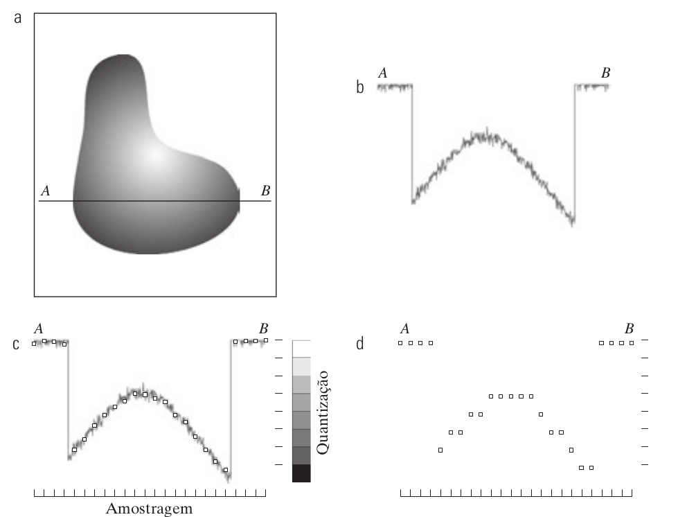 Produzindo uma imagem digital. (a) Imagem contínua. (b) Linha de varredura de \(A\) a \(B\) na imagem contínua utilizada para ilustrar os conceitos de amostragem e quantização. (c) Amostragem e quantização. (d) Linha de varredura digital. [2, p. 34]