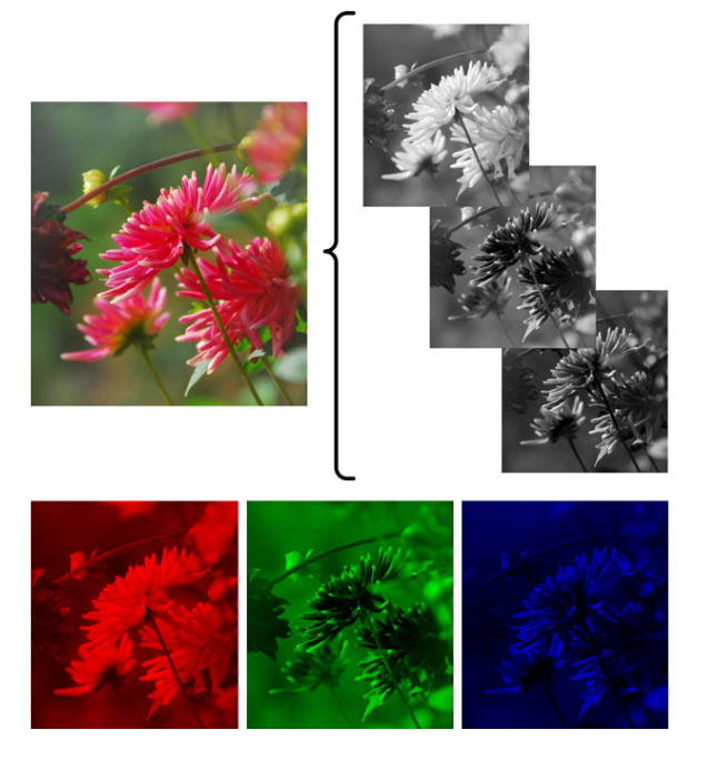 Imagem colorida - Imagem separada em seus três componentes, em que Red é a vermelha, Green é a verde e Blue é a azul [4, p. 28].