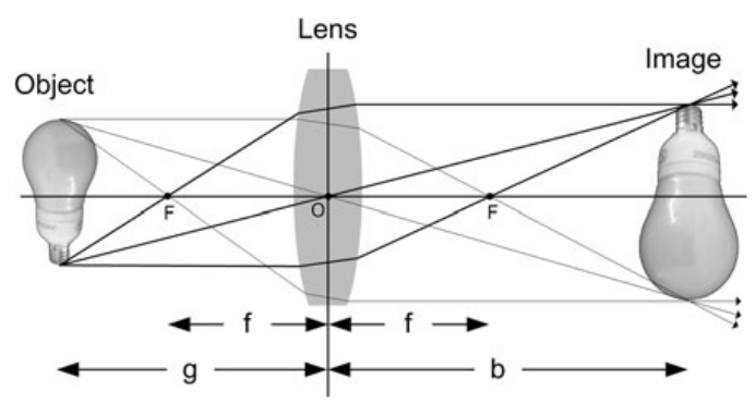 Ação de uma lente sobre os raios de luz [4, p. 12].