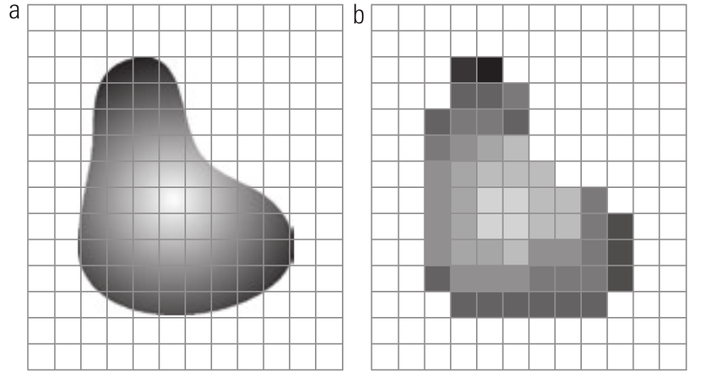 (a) Imagem contínua projetada em uma matriz de sensores. (b) Resultado da amostragem e quantização da imagem. [2, p. 35]