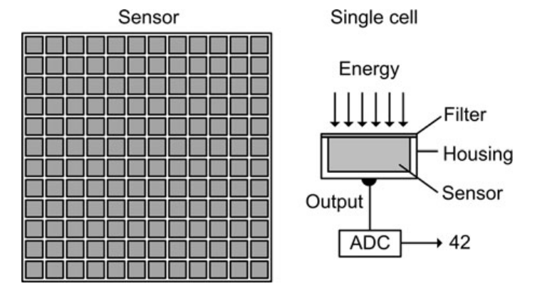 Sensor (área matricial de células), Single Cell (uma única célula sensor) [4, p. 17].