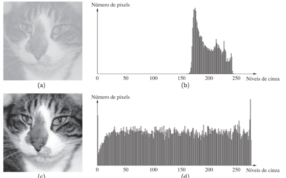 Equalização de histograma[3, p. 113].