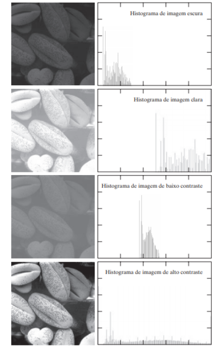 Histogramas de uma imagem com grãos de pólen. De cima para baixo: escura, clara, baixo contraste e alto contraste. [2, p. 79].