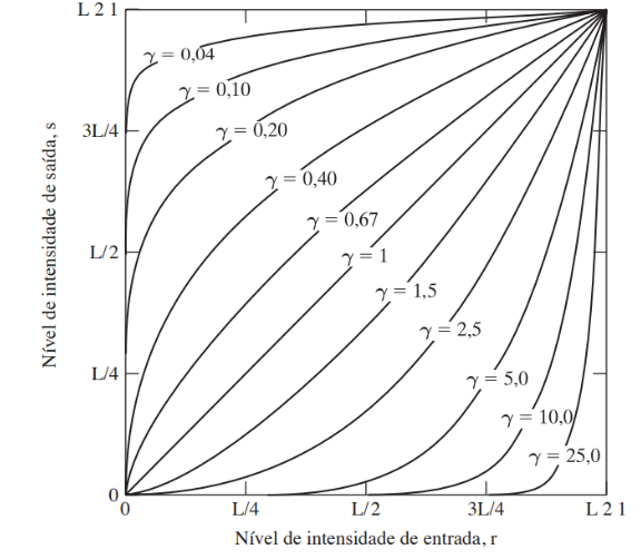 Plotagens da equação \(s = cr^\gamma\) para vários valores de \(\gamma\) [2, p. 72].