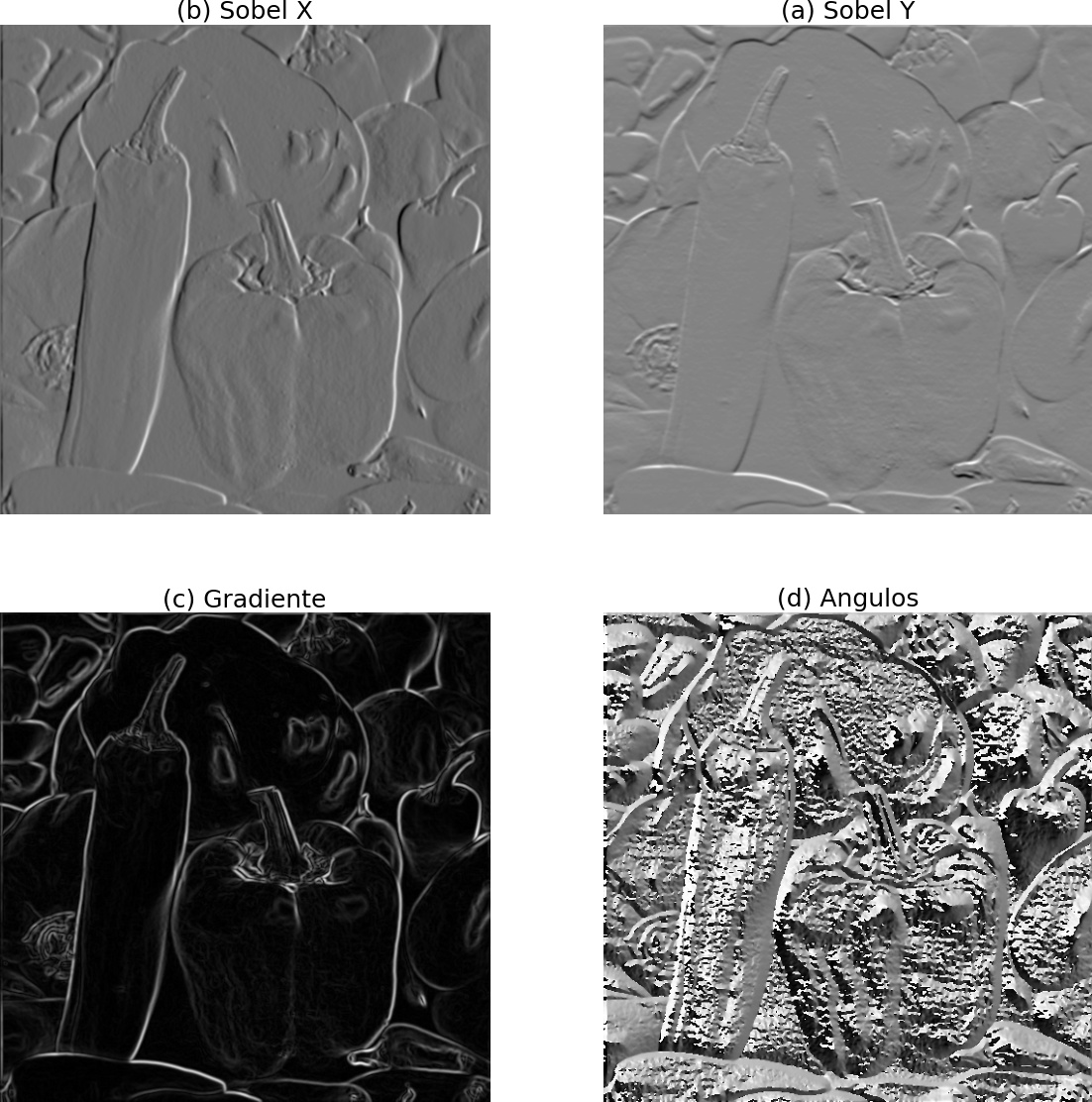 (a) Sobel na direção vertical. (b) Sobel na direção horizontal. (c) Gradiente. (d) Ângulos. [9, p. 98]