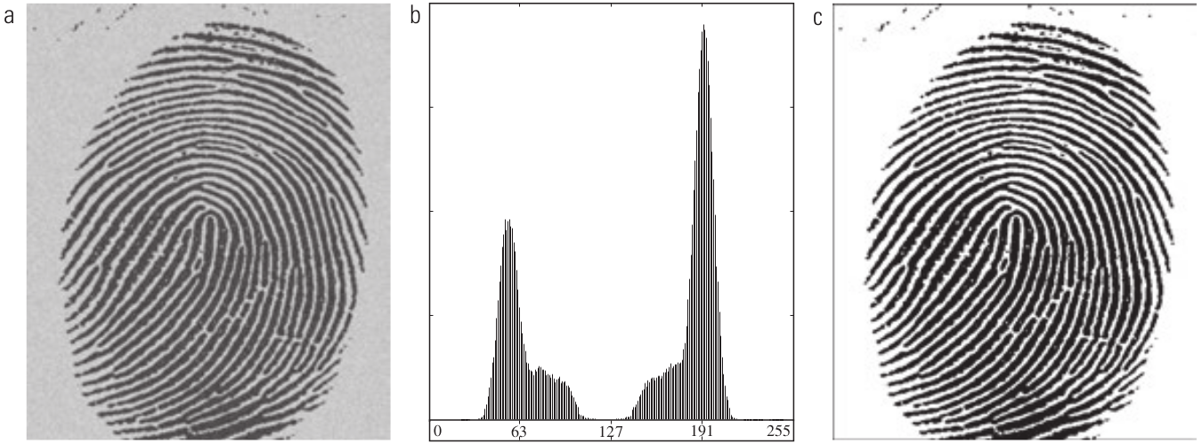 (a) Impressão digital ruidosa. (b) Histograma. (c) Segmentação resultante usando um limiar global. [2, p. 489]