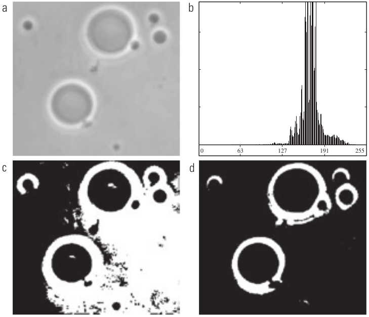 (a) Imagem original. (b) Histograma (os picos elevados foram cortados para realçar os detalhes nos valores mais baixos). (c) Resultado da segmentação pela limiarização global simples. (d) Resultado da segmentação pelo método de Otsu. [2, p. 492]