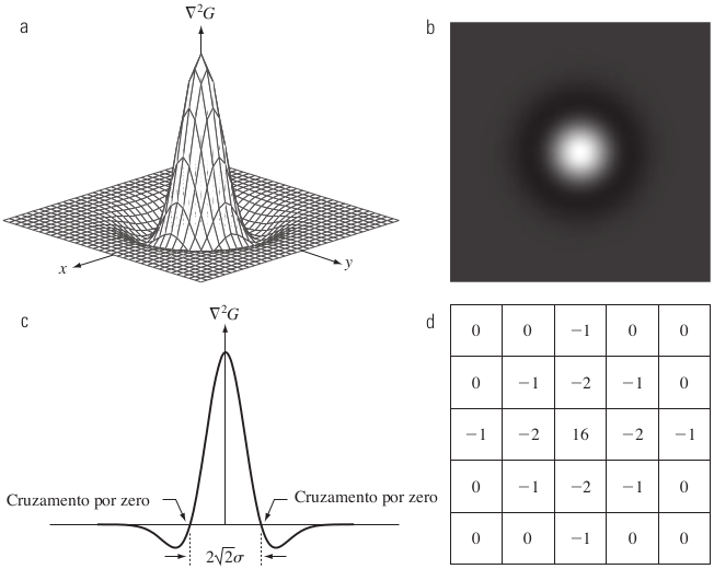 (a) Gráfico 3-D do negativo de LoG. (b) Imagem do negativo de LoG. (c) Seção transversal de (a). (d) Aproximação de máscara 5x5 para LoG. [2, p. 471]