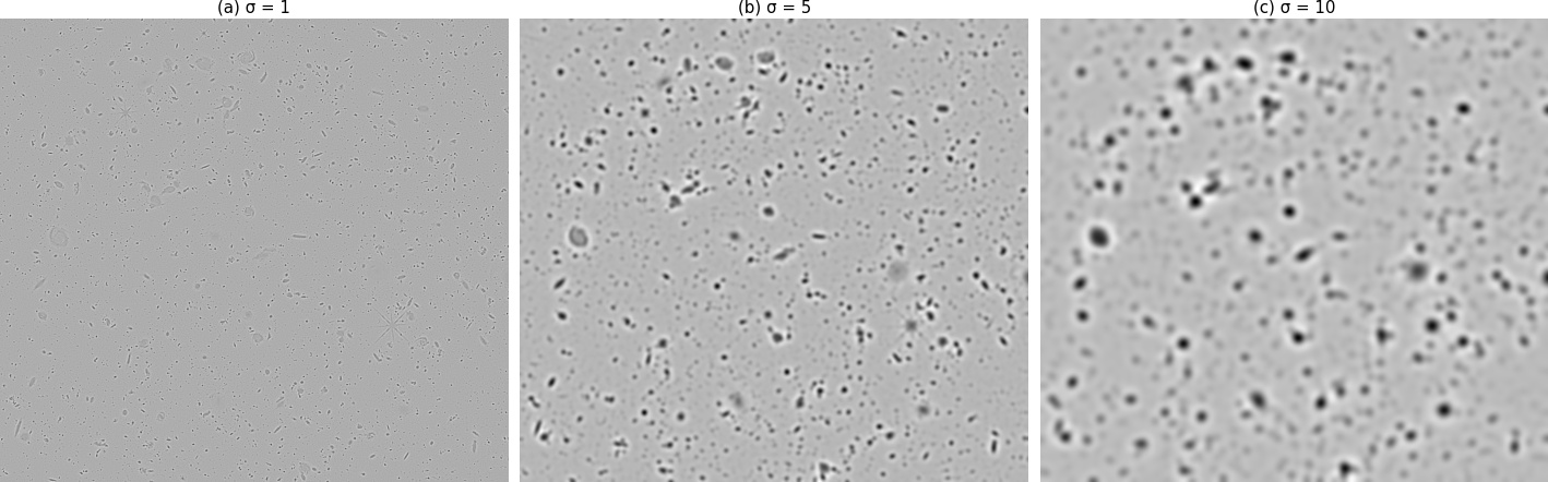 Laplaciano do Gaussiano com diferentes valores de sigma.